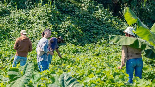 Une Journee Dans Les Bottes d'une famille d'agriculteurs