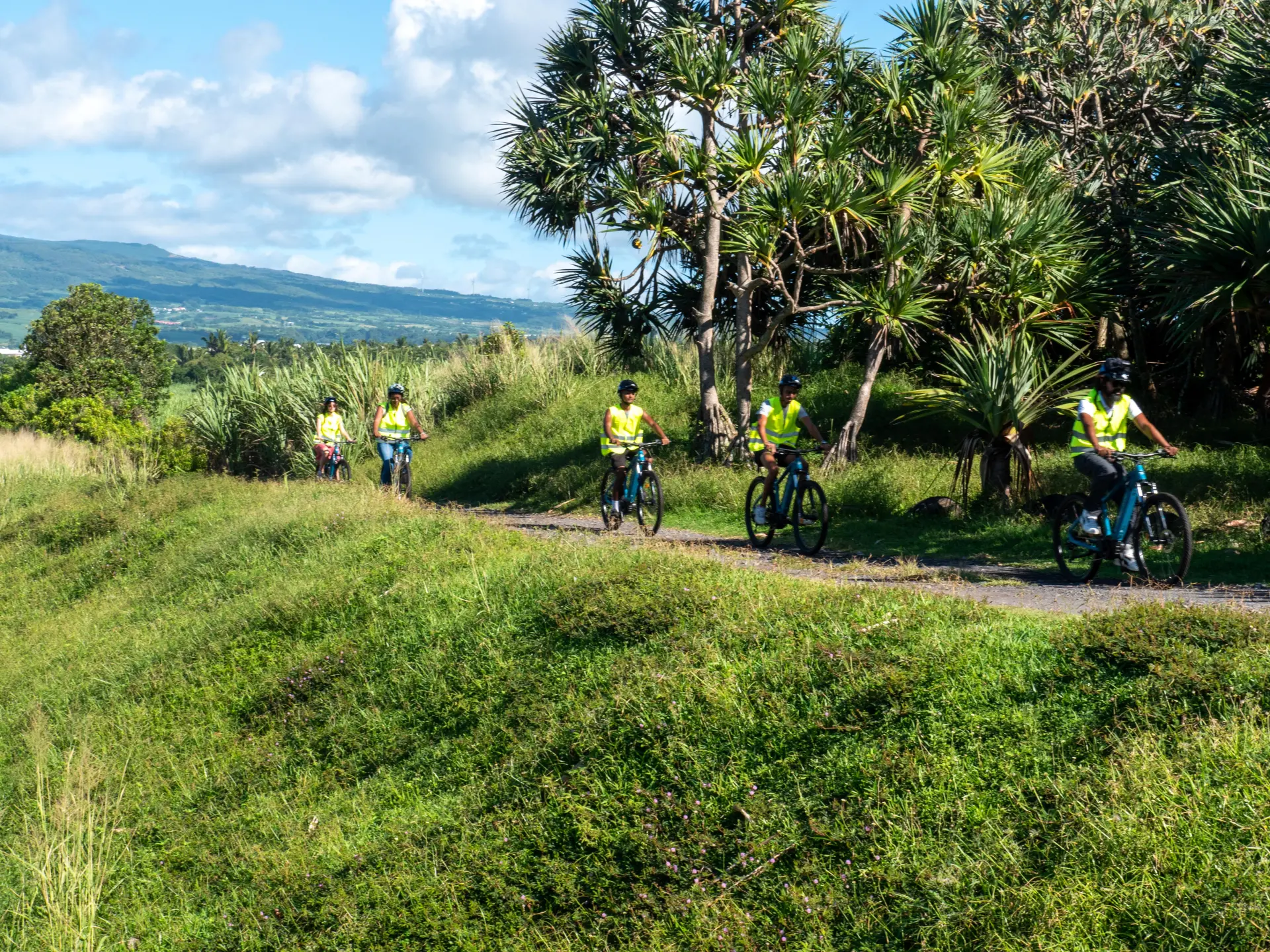 Expérience La route des 5 sens: une journée en VTT autour de la vanille Bourbon . Ateliers, visites, déjeuner et dégustations rythmeront cette journée.