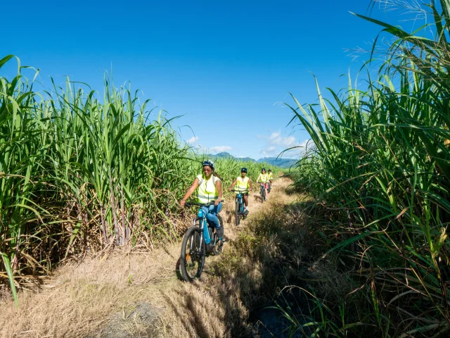 Expérience La route des 5 sens: une journée en VTT autour de la vanille Bourbon . Ateliers, visites, déjeuner et dégustations rythmeront cette journée.