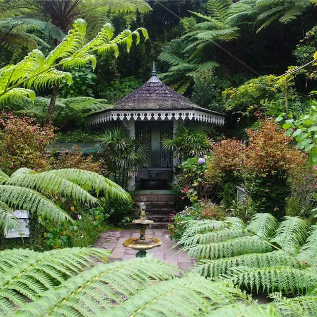 Maison folio a salazie.JPG