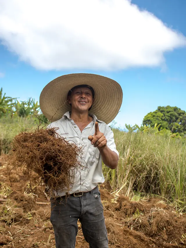 Un atelier de cuisine créole engagée au restaurant Le Mazeniène- credits IRT@Ze Caillou dt Dec 2035