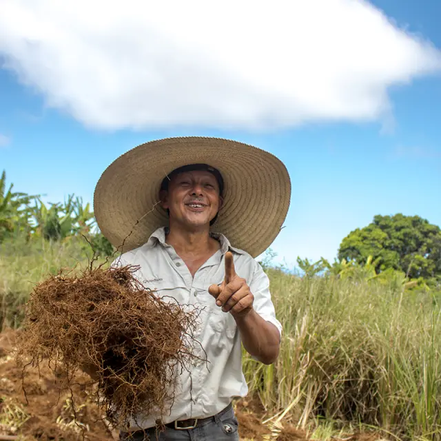 Irt Far Far Bezaves16 Webf