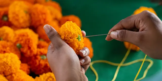 Temple Maryen Peroumal Irt@ze Caillou Dt Janvier 2036