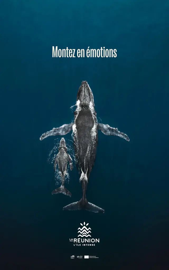 Baleine