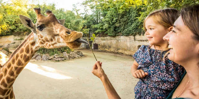 Bioparc en Doué la Fontaine