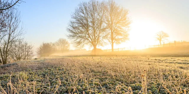 Randonnées et balades d'hiver à Angers