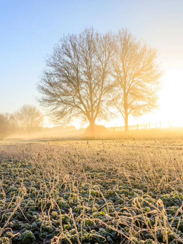 Randonnées et balades d'hiver à Angers