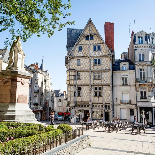 Maison Adam Place Sainte Croix Dorothee Mouraud Destination Angers