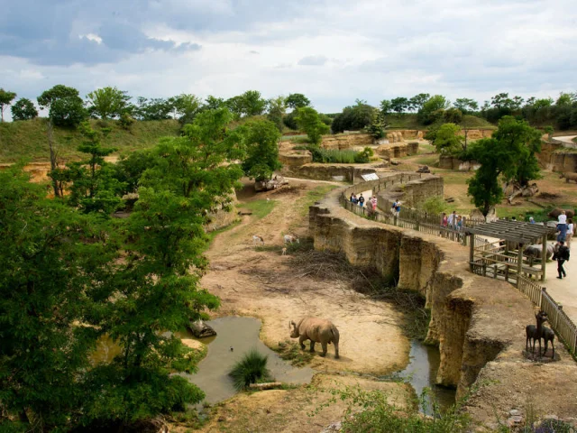El Valle de los Rinocerontes en el Bioparc