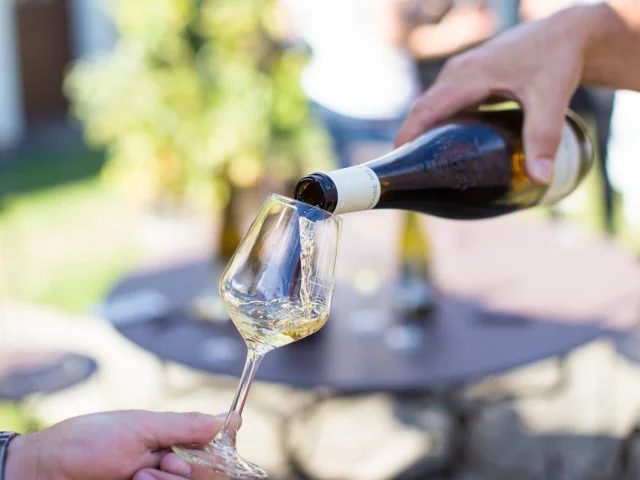 Dégustation de vin au Domaine des deux moulins