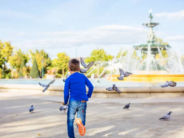Jardin Mail Angers Loire Tourisme Les Conteurs