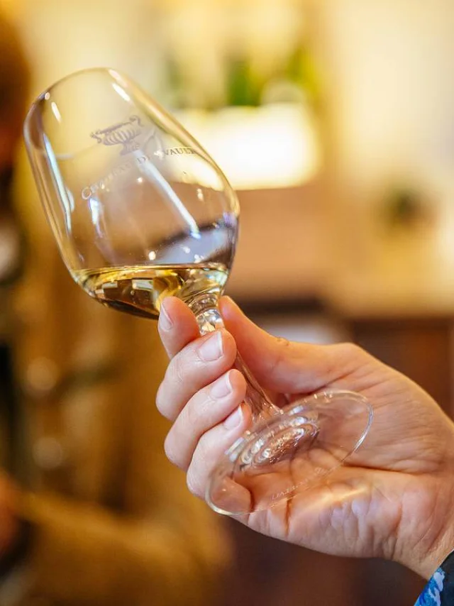 Plan rapproché d'un verre de vin blanc dans une main