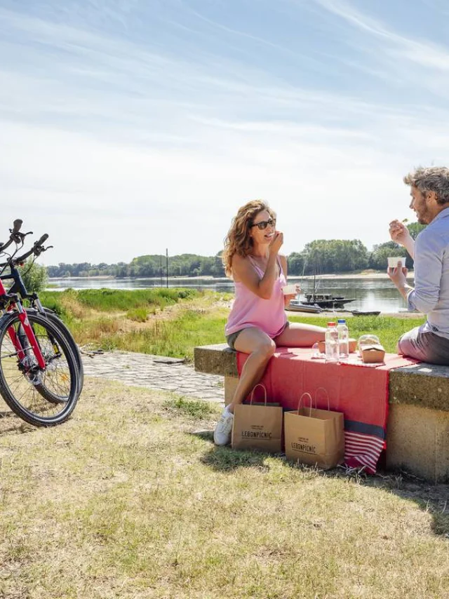 Picnic break