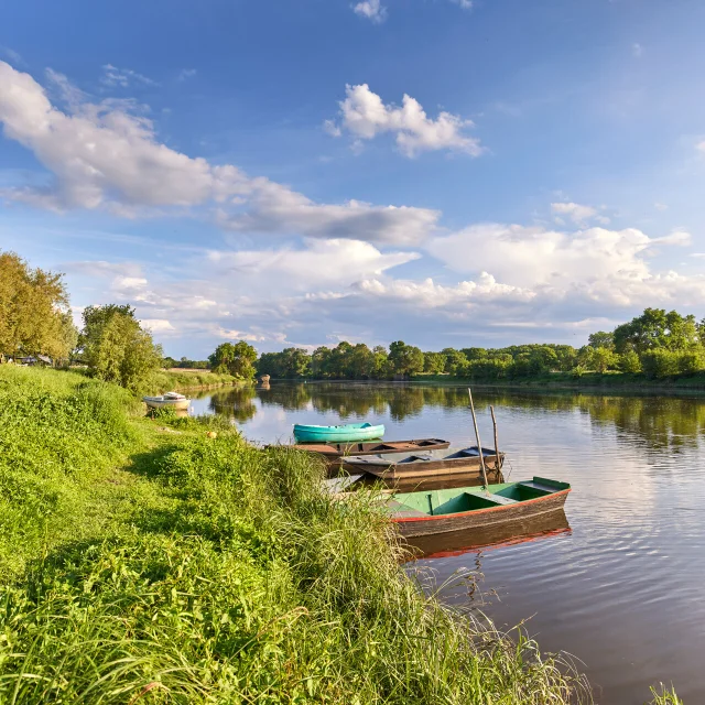 Bords De Mayenne A Cantenay Epinard Copyright Alexandre Lamoureux Destination Angers 14185 1920px