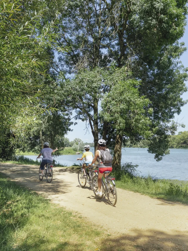 Cycling in Angers - Bike Tour on the Île Saint-Aubin