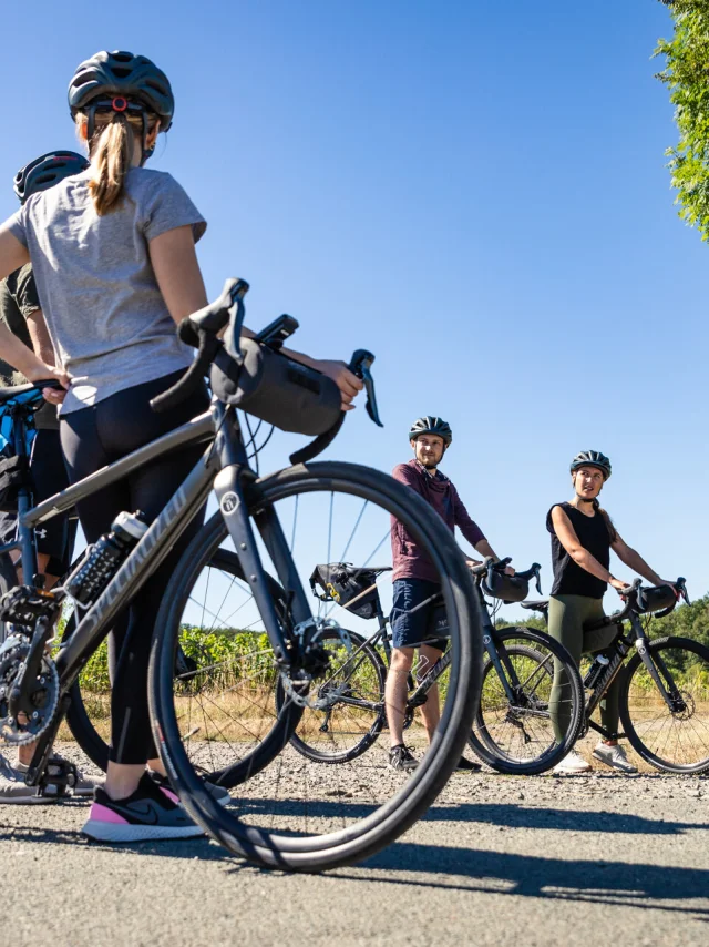 4 cyclistes sont regroupés au bord du vignoble à côté de leur vélo, vue en légère contre-plongée