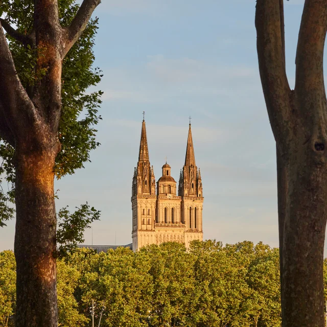 Cathédrale Saint-Maurice vue de loin au soleil couchant