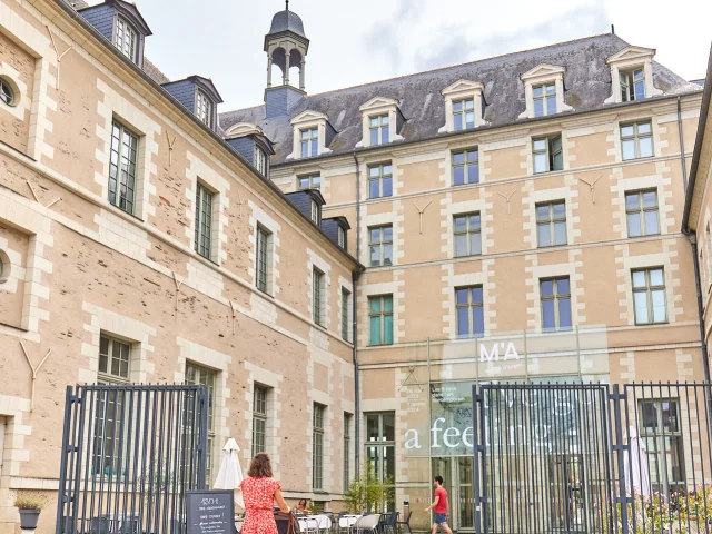 Femme poussant une poussette et arrivant à l'entrée du musée des beaux arts