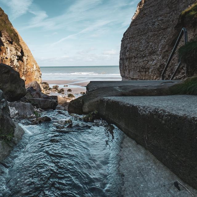 06/11/2019 - Varengeville, Gorges Des Moutiers, Dieppe, France