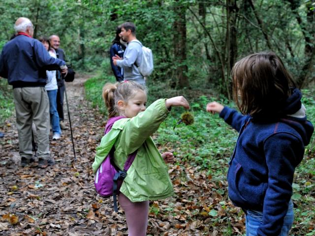 Groupe de personnes en visite dans un espace naturel sensible avec un guide