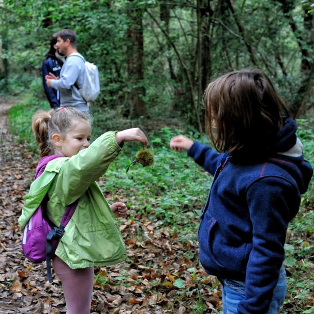 Groupe de personnes en visite dans un espace naturel sensible avec un guide