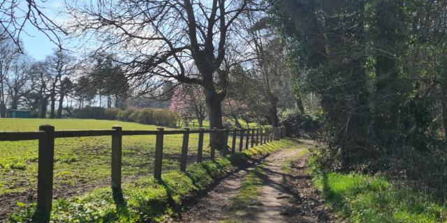 Bois De Bernouville Ens Hautot Dnt 9