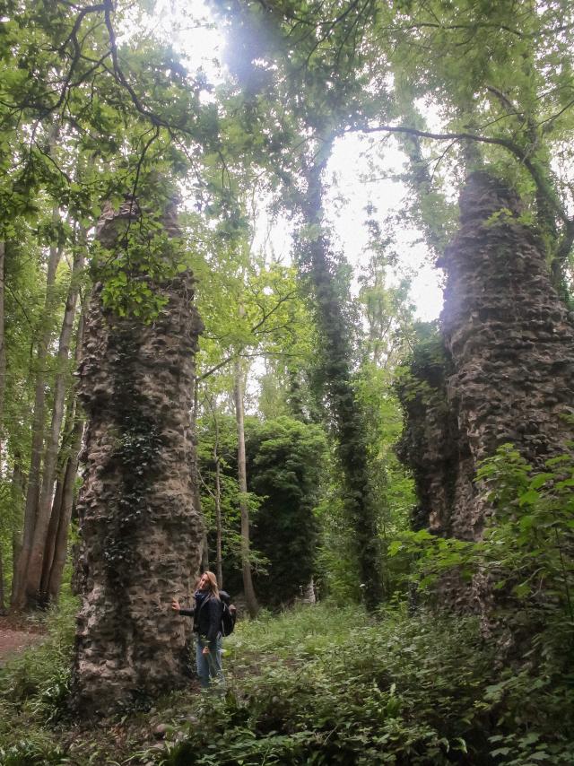 Bois De Bernouville Hautot Ens August Voyage 2