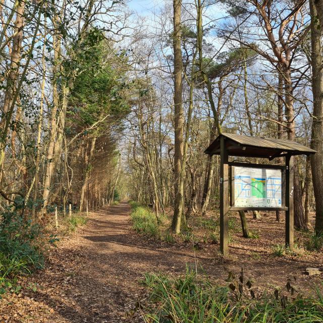 Paysage de bois hivernal, panneau explicatif en bois