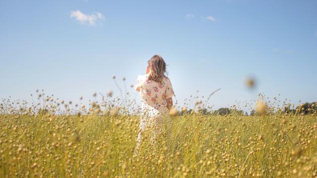 Jeune femme de dos dans un champ de lin en bourgeon