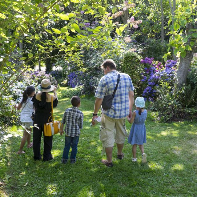 Collection Shamrock Varengeville Eric Benard 1