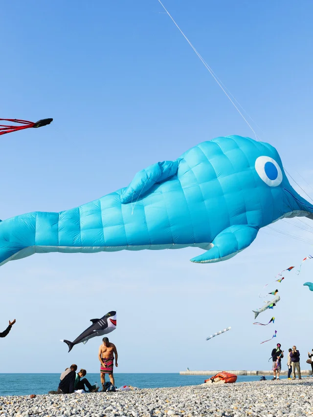 Un cerf-volant géant en forme de dauphin vole au-dessus de personnes sur la plage de galets