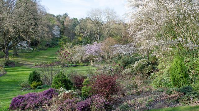 Vue dégagée sur le jardin, herbe verte, massifs de fleurs aux teintes violettes