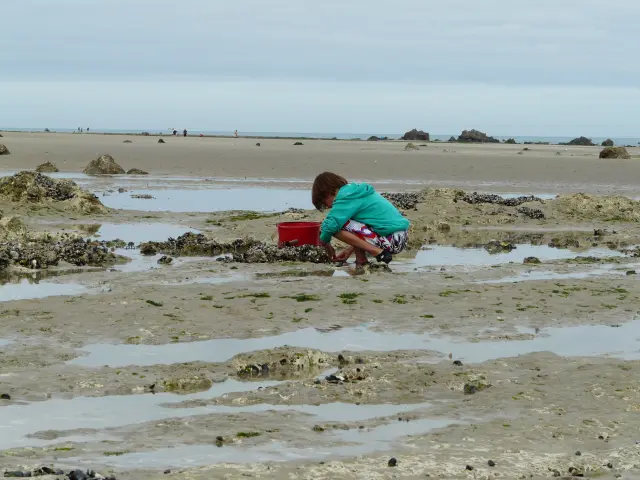 Peche A Pied Plage Dnt 9