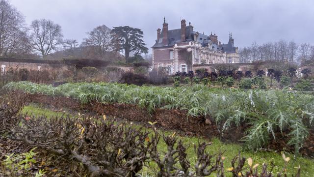 Potager dans une ambiance hivernale et brumeuse, arbres et plantations sans feuille, château à l'arrière-plan