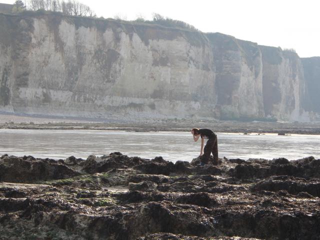 Peche A Pied Plage Dnt 3