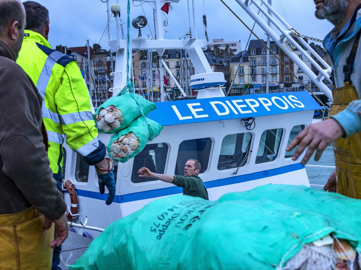 La coquille SaintJacques Dieppe, site officiel de l'Office de