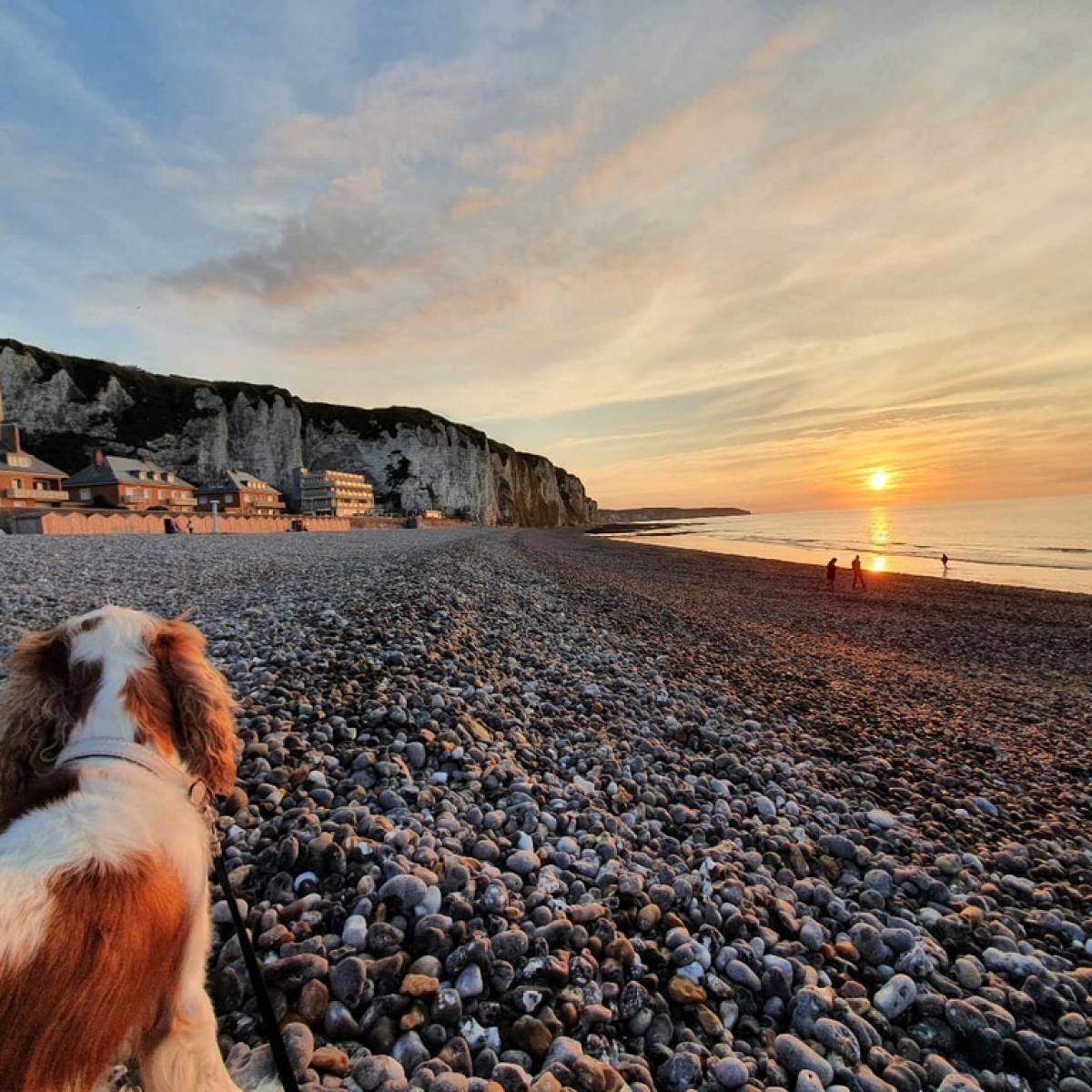 dieppe-site-officiel-de-l-office-de-tourisme-de-dieppe-normandie