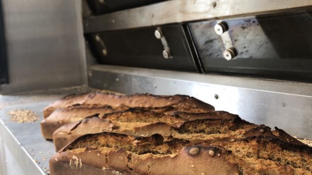 Pains sortis du four à la Boulangerie 