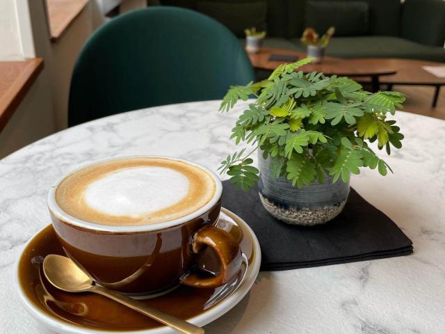 Une tasse de cappuccino et une petite plante verte posées sur une table dans le salon de thé Moment Café