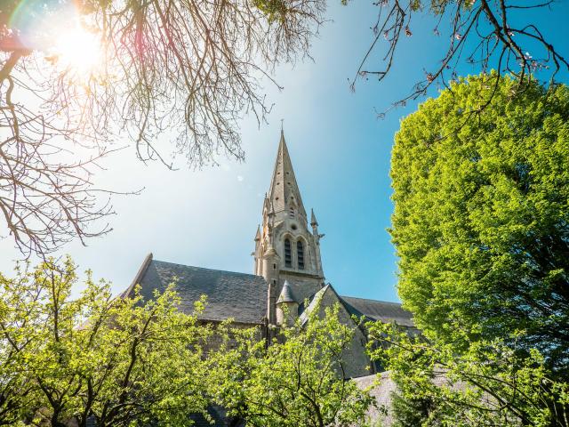 Clocher en pierre de la collégiale d'Auffay entouré d'arbres aux feuillages verts sous un ciel ensoleillé