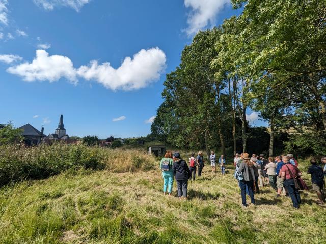 Un groupe d'environ 25 personnes écoute un guide sur la motte castrale de Saint-Martin-le-Gaillard au cours d'une visite sous le ciel bleu