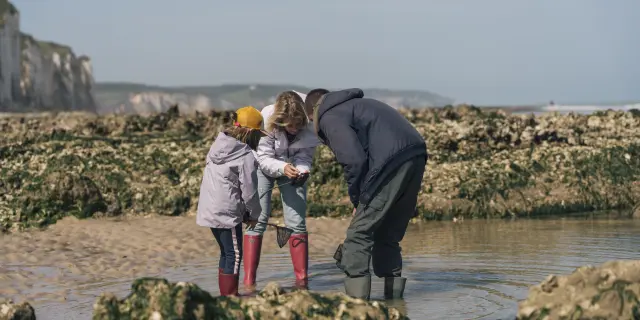 Une maman et sa famille, en compagnie d'un guide observent des animaux qu'ils viennent de pêcher