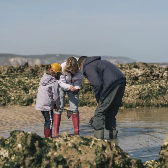 Une maman et sa famille, en compagnie d'un guide observent des animaux qu'ils viennent de pêcher