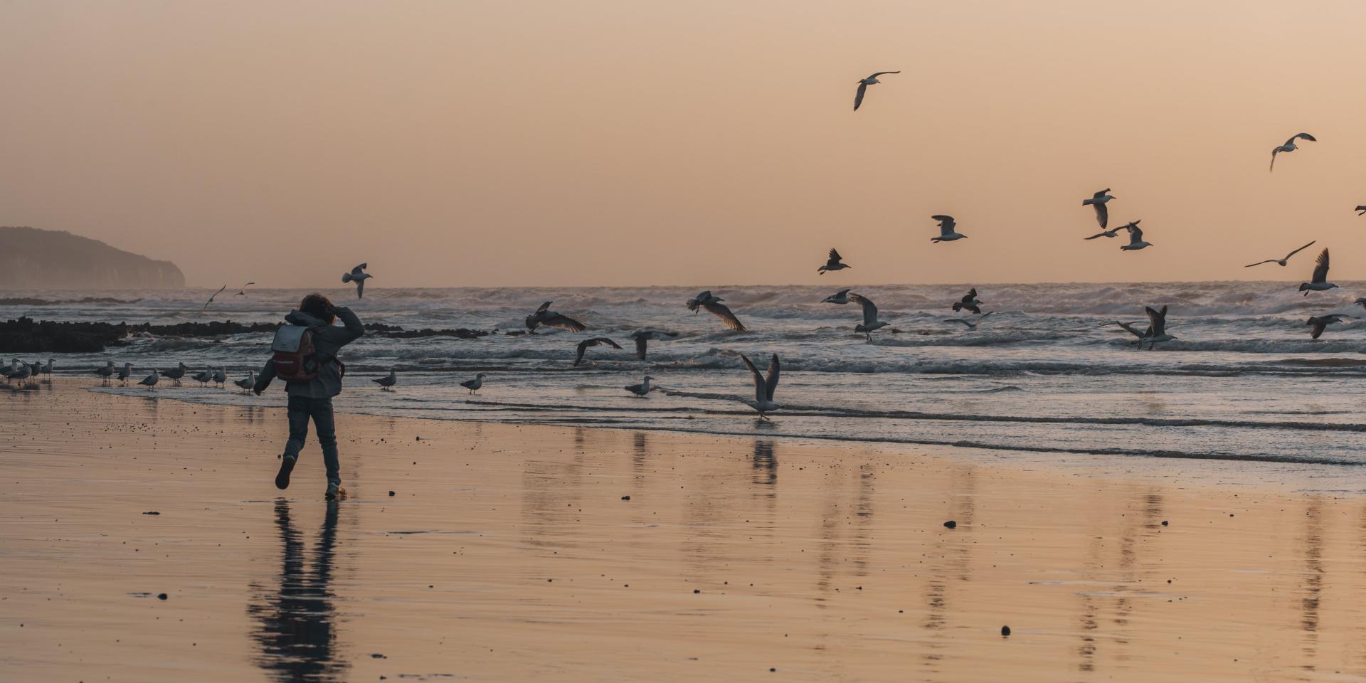 Plage Dieppe Sable Coucher De Soleil Enfant Goelands Nos Coeurs Voyageurs