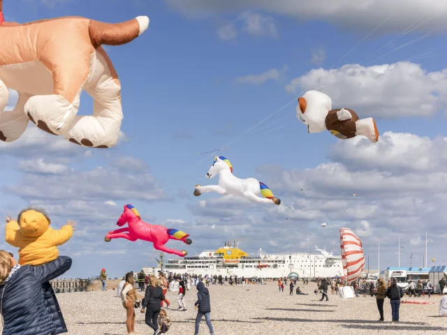 Festival Cerfs Volants Dieppe Giada Connestari 15