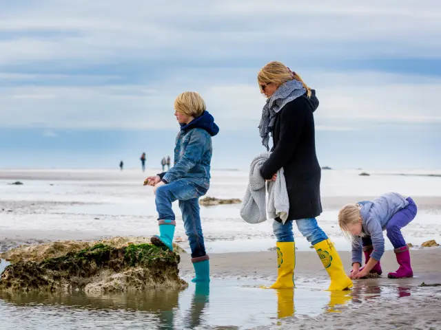 Pêche à pied à Varengeville