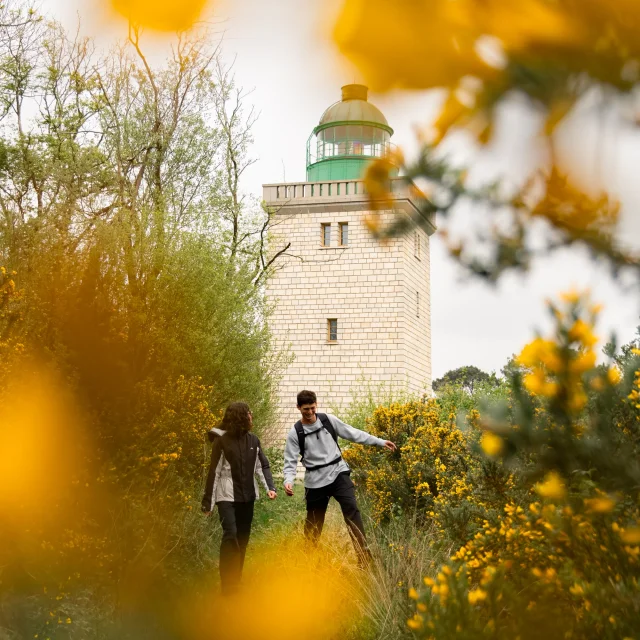 Randonnée au phare d'Ailly