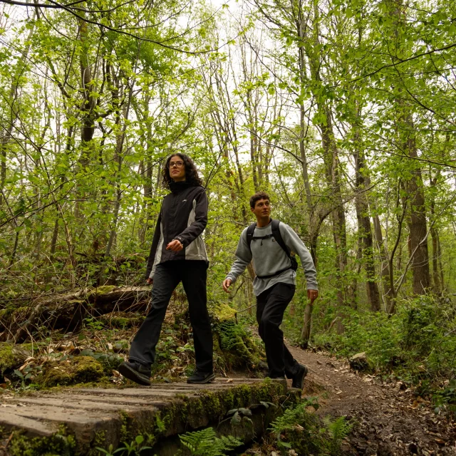 Hiking in Varengeville La Petite Bert