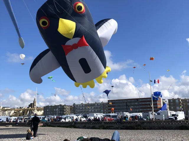 Festival Cerfs Volants 2022 Dnt 5 Min