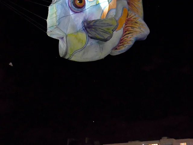 Night Flight 2022 Yann Pelcat 9 Min